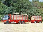 Tatra T815/2 LPA Timber Truck 1994 года